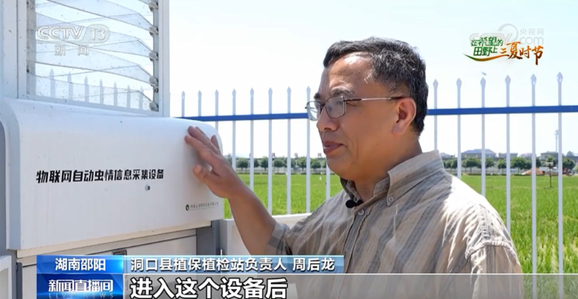 央視報道！云飛科技智慧植保設(shè)備助力湖南早稻蟲害精準防控