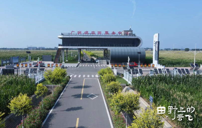 安陽廣潤坡高標準農田示范區：在萬畝良田上，建一座數字糧倉